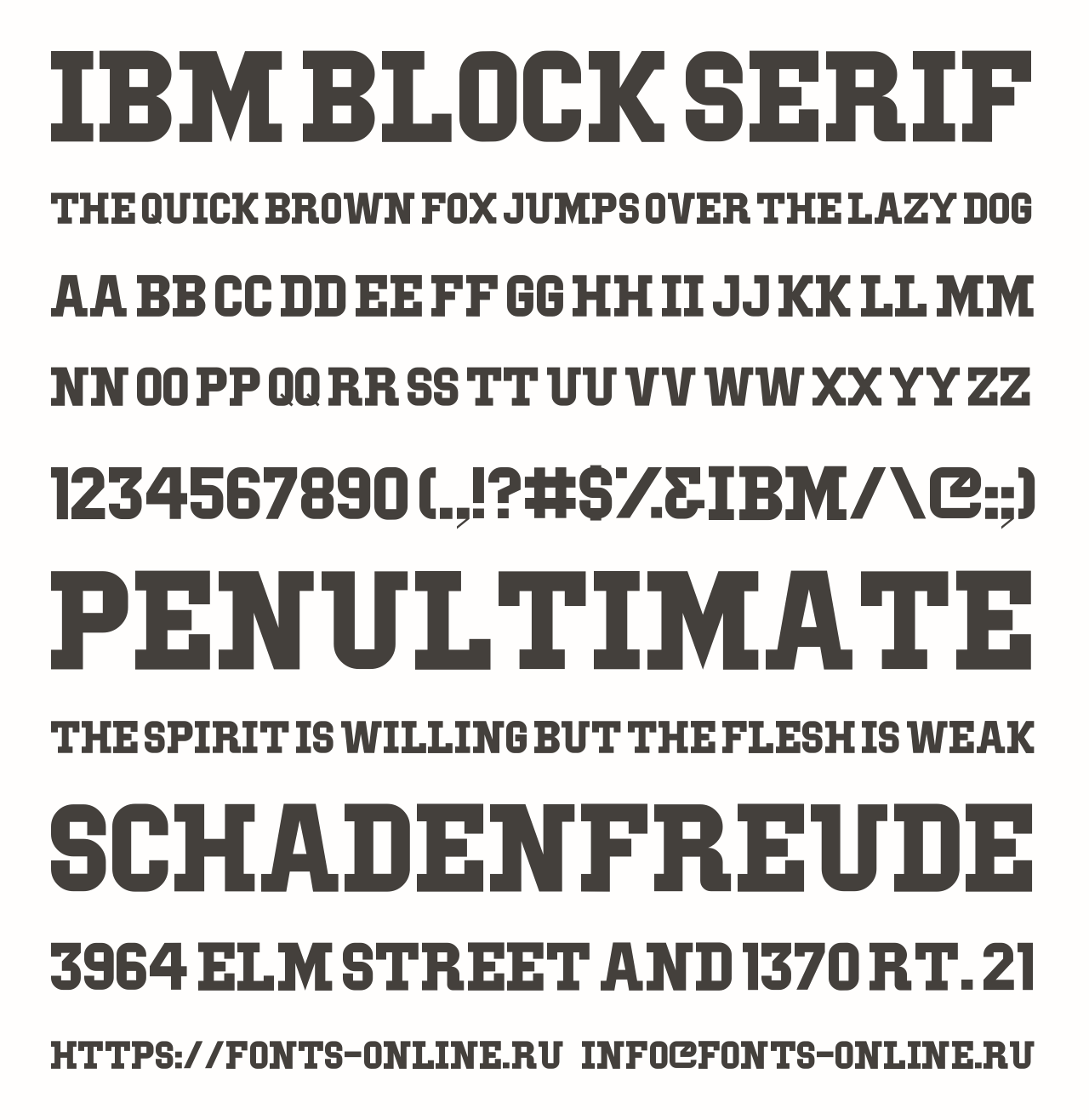 IBM Block Serif Free Font Download
